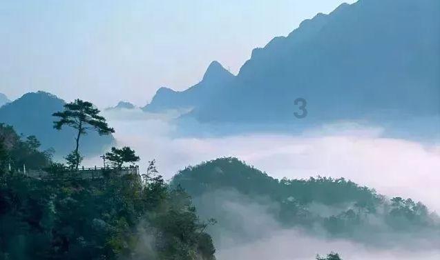 虫虫助手下载